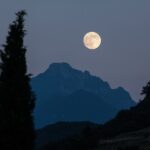 Bosque de noche con luz de luna de fondo